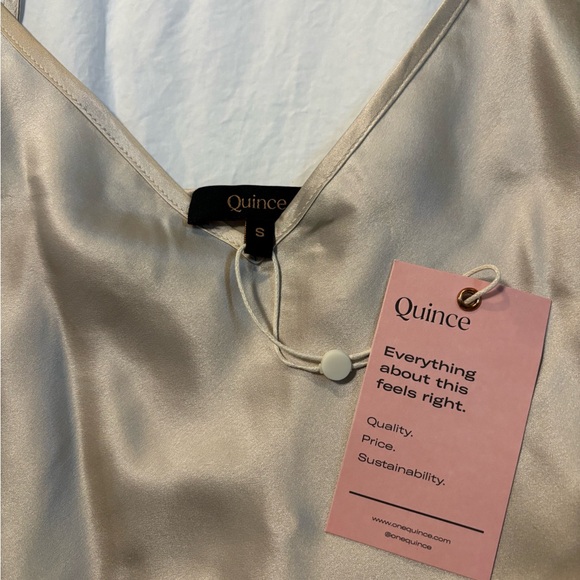 Quince 100% Silk Slip Dress in Taupe - Picture 3 of 4